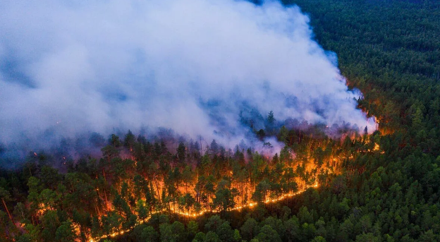 На фото с высоты полета вертолета съемка лесного пожара в Сибири.