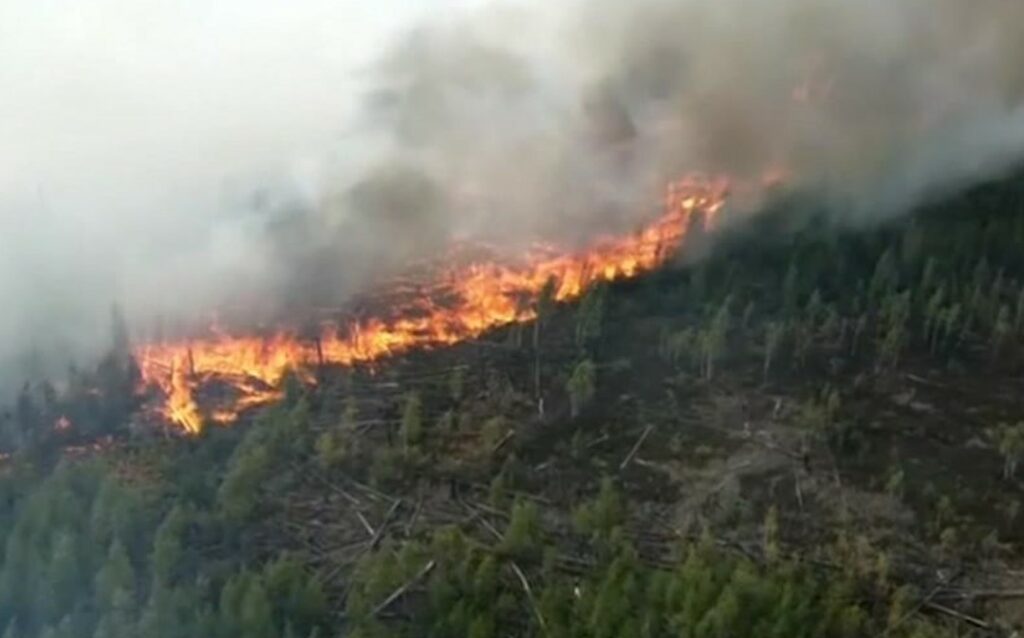 На фото с пожарного вертолеты снято, как горят леса в Российской Федерации.